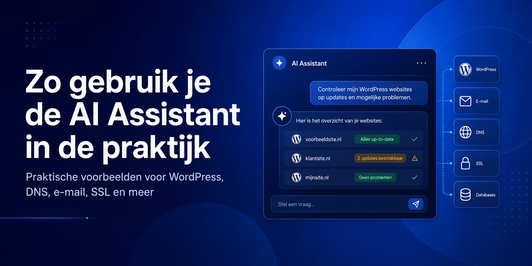 Hoasted AI Assistant voor WordPress, DNS, e mail en SSL beheer met praktische voorbeelden.